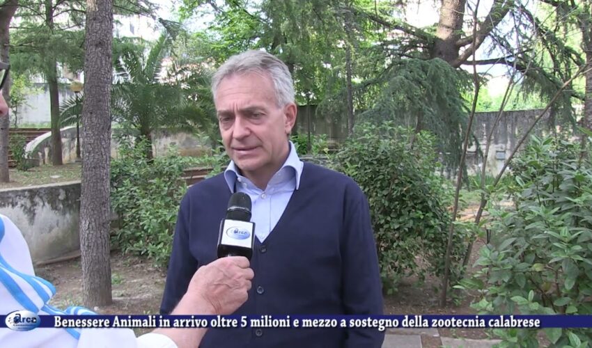 Benessere Animali in arrivo oltre 5 milioni e mezzo a sostegno della zootecnia calabrese 25 maggio