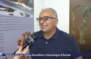 Novità in vista per il Museo Naturalistico e Paleontologico di Rotonda 8 luglio 2022