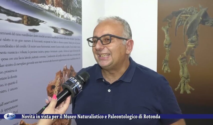 Novità in vista per il Museo Naturalistico e Paleontologico di Rotonda 8 luglio 2022