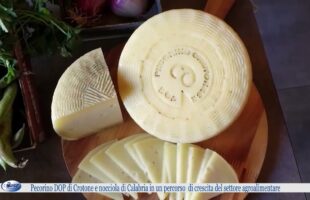 Pecorino DOP di Crotone e nocciola di Calabria in un percorso di crescita del settore agroalimentar