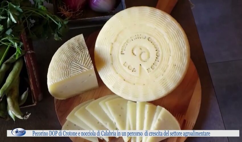 Pecorino DOP di Crotone e nocciola di Calabria in un percorso di crescita del settore agroalimentar