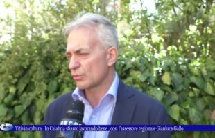 Vitivinicoltura In Calabria stiamo lavorando bene così l’assessore regionale Gianluca Gallo 1 agos