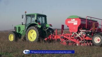 PSR Pagamenti per oltre 16 milioni di euro in favore degli agricoltori calabresi 14 dicembre 2022