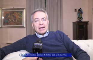 Zootecnia punto di forza per la Calabria 1 dicembre 2022