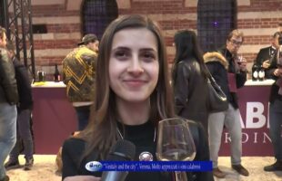 “Vinitaly and the city” Verona Molto apprezzati i vini calabresi