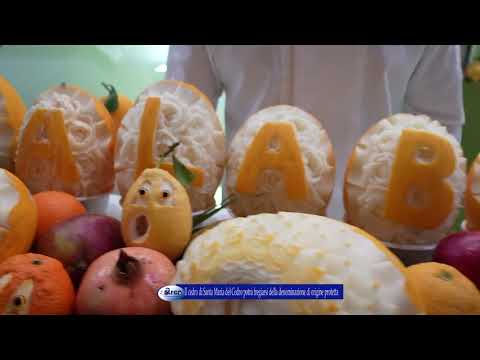 Il cedro di Santa Maria del Cedro diventa Dop