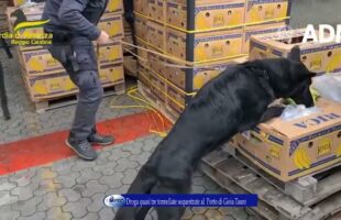 Droga quasi tre tonnellate sequestrate al Porto di Gioia Tauro