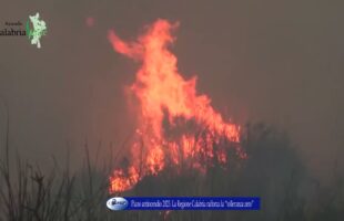 Piano antincendio 2023 La Regione Calabria rafforza la “tolleranza zero”