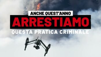 Calabria. Campagna antincendio boschivo 2023