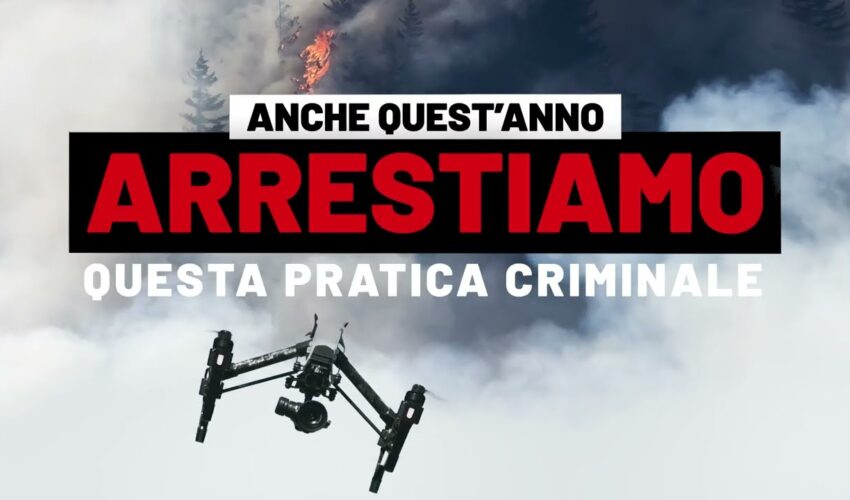 Calabria. Campagna antincendio boschivo 2023