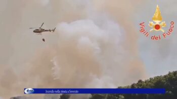 Incendio nella pineta di Soverato