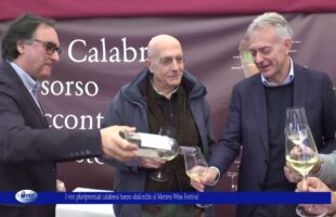 I vini pluripremiati calabresi hanno sbalordito il Merano Wine Festival