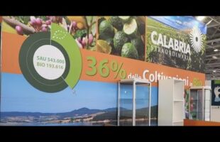 La Calabria è bio Prima regione d’Italia Lo attesta il rapporto Crea 2022 1