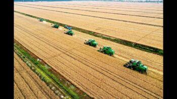 Agricoltura 22Mln del PNRR sulla tecnologia Pubblicato il bando