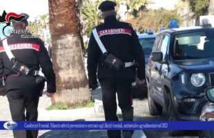 Carabinieri Forestali Bilancio attività prevenzione e contrasto agli illeciti forestali, ambientali