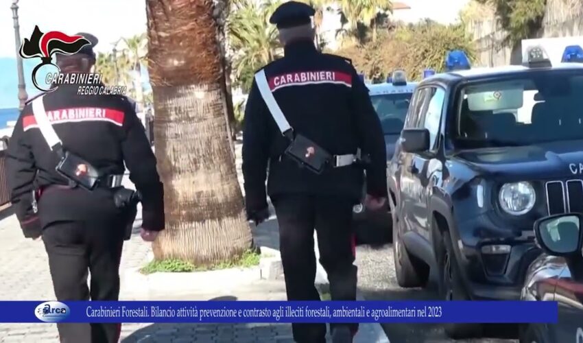 Carabinieri Forestali Bilancio attività prevenzione e contrasto agli illeciti forestali, ambientali