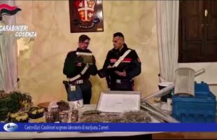 Castrovillari. Carabinieri scoprono laboratorio di marijuana, 2 arresti