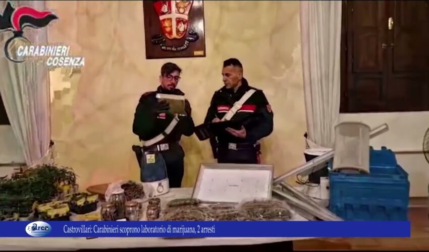 Castrovillari. Carabinieri scoprono laboratorio di marijuana, 2 arresti