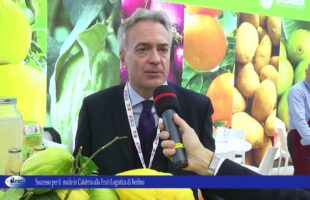 Successo per il made in Calabria alla Fruit Logistica di Berlino