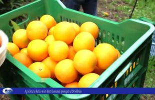 Agricoltura. Bando multi frutti domanda prorogata al 29 febbraio