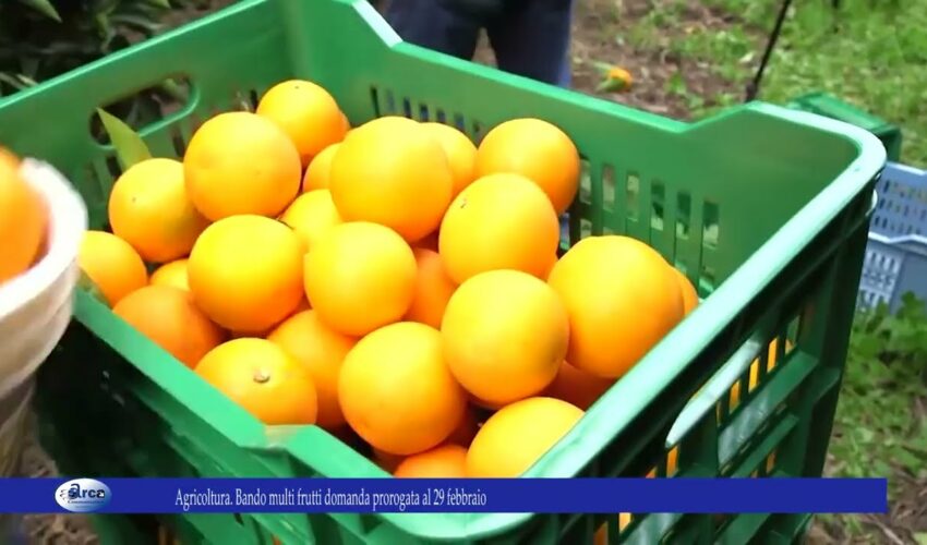 Agricoltura. Bando multi frutti domanda prorogata al 29 febbraio