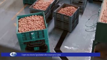 L’export cresce attraverso l’agroalimentare settore trainante per la Calabria