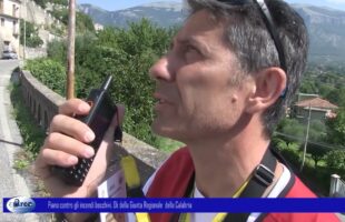 Piano contro gli incendi boschivi. Ok della Giunta Regionale della Calabria