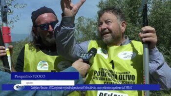 Corigliano Rossano. ARSAC VII Campionato di potatura dell’olivo allevato a vaso policonico