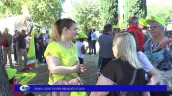 Emergenza cinghiali la protesta degli agricoltori a Cosenza