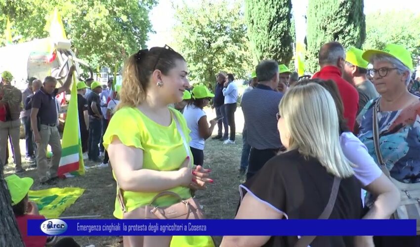 Emergenza cinghiali la protesta degli agricoltori a Cosenza