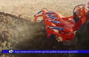 Sono sempre più le aziende agricole guidate da giovani agricoltori