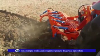 Sono sempre più le aziende agricole guidate da giovani agricoltori