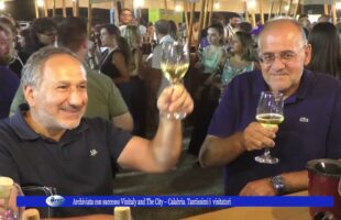 Archiviata con successo Vinitaly and The City – Calabria.Tantissimi i visitatori