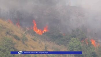 Incendi boschivi Calabria via libera a due importanti progetti