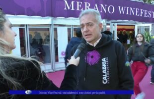 Merano Wine Festival i vini calabresi si sono distinti per la qualità