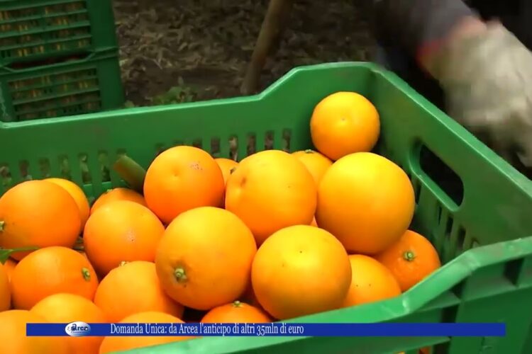 Domanda Unica da Arcea l’anticipo di altri 35mln di euro