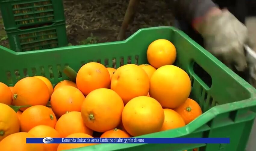 Domanda Unica da Arcea l’anticipo di altri 35mln di euro