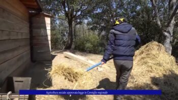 Agricoltura sociale Approvata legge in Consiglio regionale