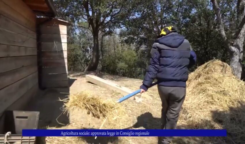 Agricoltura sociale Approvata legge in Consiglio regionale